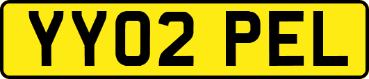 YY02PEL