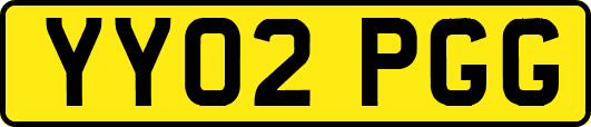 YY02PGG
