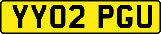 YY02PGU
