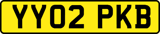 YY02PKB