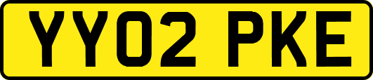 YY02PKE