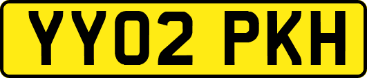 YY02PKH