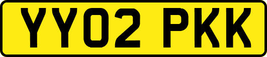 YY02PKK
