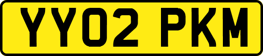 YY02PKM
