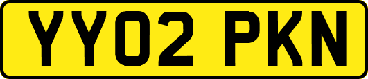 YY02PKN