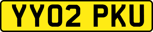YY02PKU