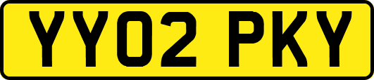 YY02PKY