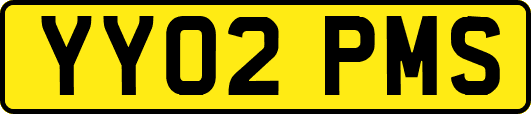 YY02PMS