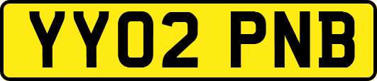 YY02PNB