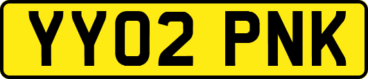 YY02PNK