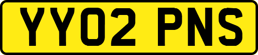 YY02PNS