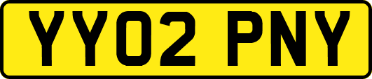 YY02PNY