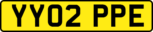 YY02PPE