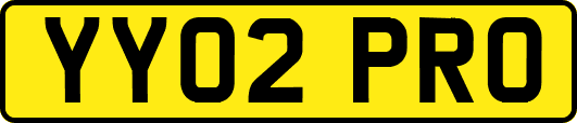 YY02PRO
