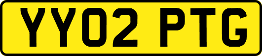 YY02PTG