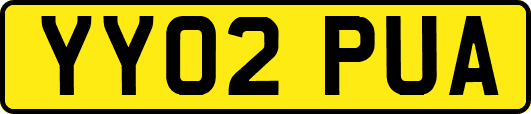 YY02PUA
