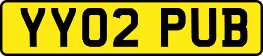 YY02PUB