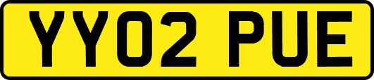 YY02PUE