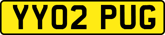 YY02PUG