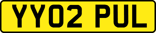 YY02PUL