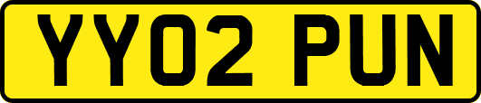 YY02PUN