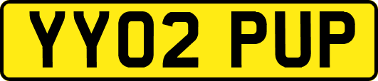 YY02PUP