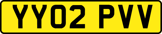 YY02PVV
