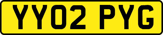 YY02PYG