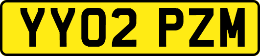 YY02PZM