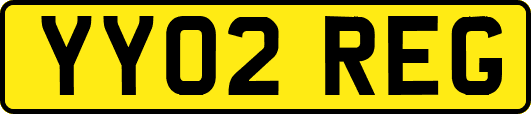 YY02REG