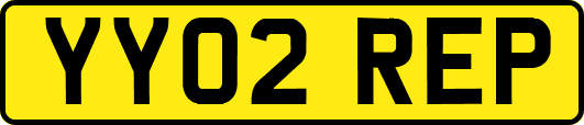 YY02REP