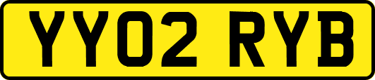 YY02RYB
