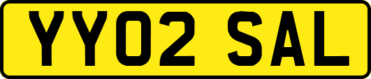 YY02SAL