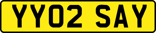 YY02SAY