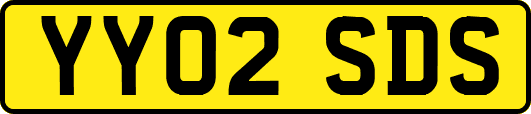 YY02SDS