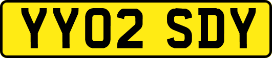YY02SDY