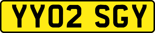YY02SGY