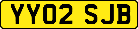 YY02SJB