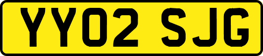 YY02SJG