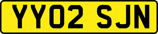 YY02SJN