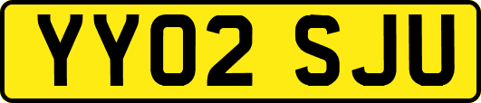 YY02SJU