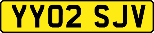 YY02SJV