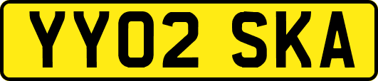 YY02SKA