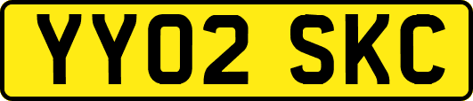 YY02SKC