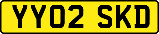 YY02SKD