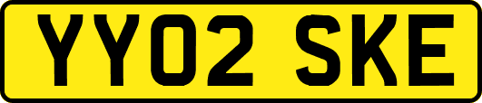 YY02SKE
