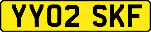 YY02SKF