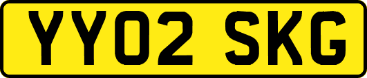 YY02SKG