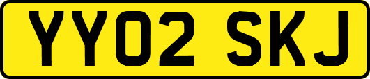 YY02SKJ