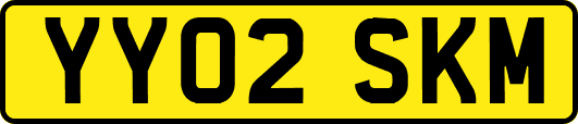 YY02SKM